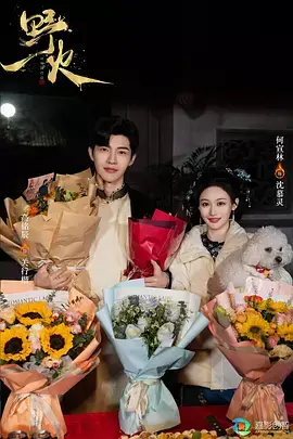 《野火》全集高清完整版在线观看与剧情解析