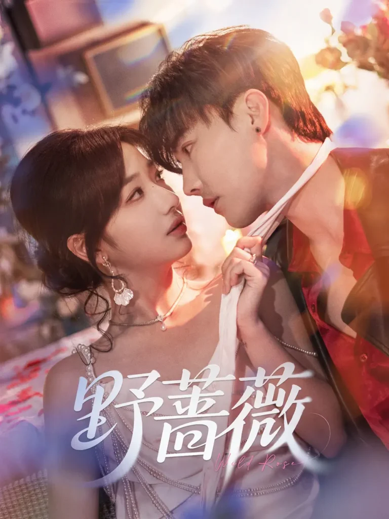 《野蔷薇》全集高清完整版在线观看与剧情解析