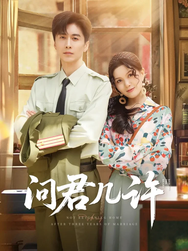 《问君几许》全集高清完整版在线观看与剧情解析