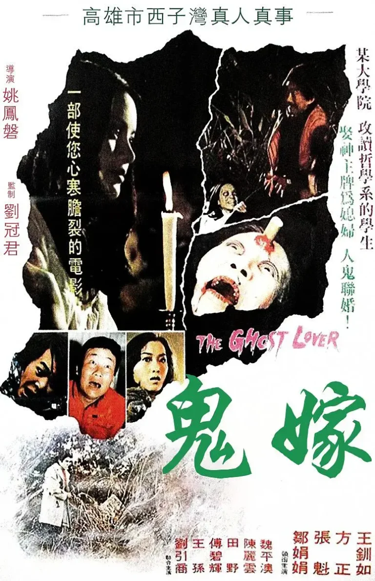 《鬼嫁1976[电影解说]》深度内容解析