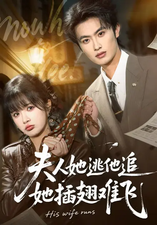 《夫人她逃他追，她插翅难飞》全集高清完整版在线观看与剧情解析