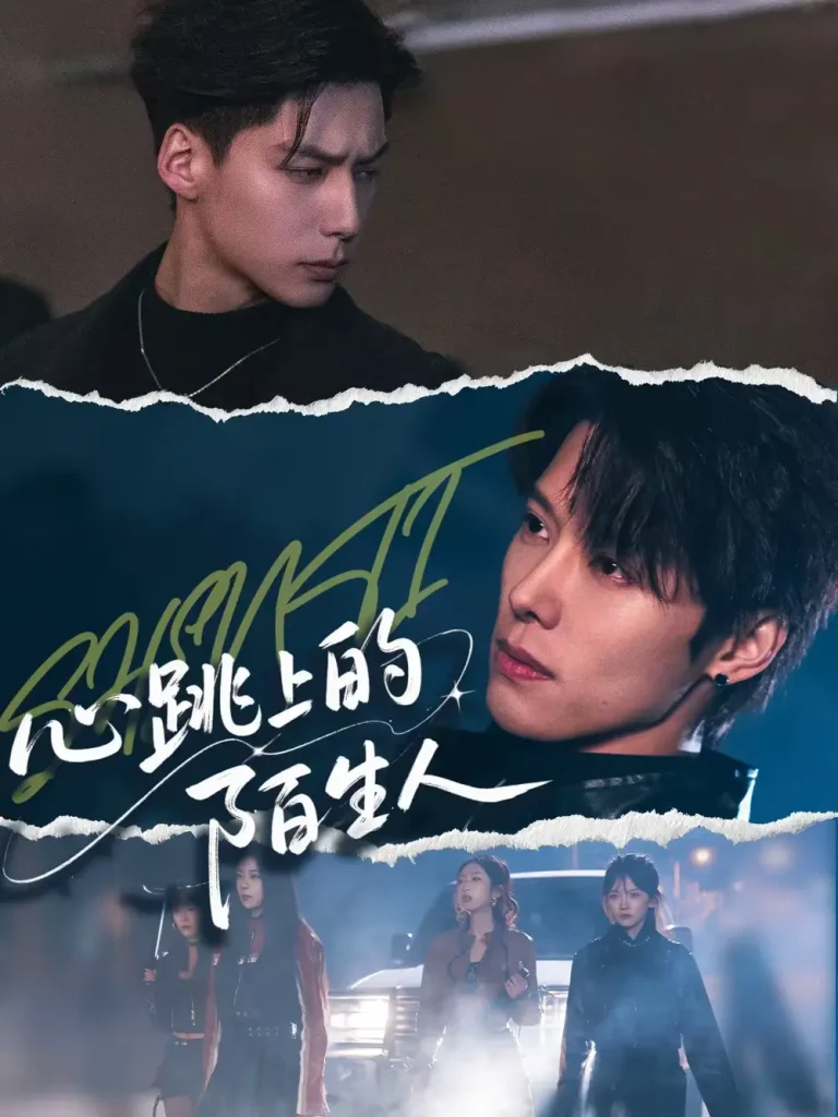 《心跳上的陌生人》全集高清完整版在线观看与剧情解析