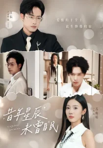 昔年星辰未曾眠