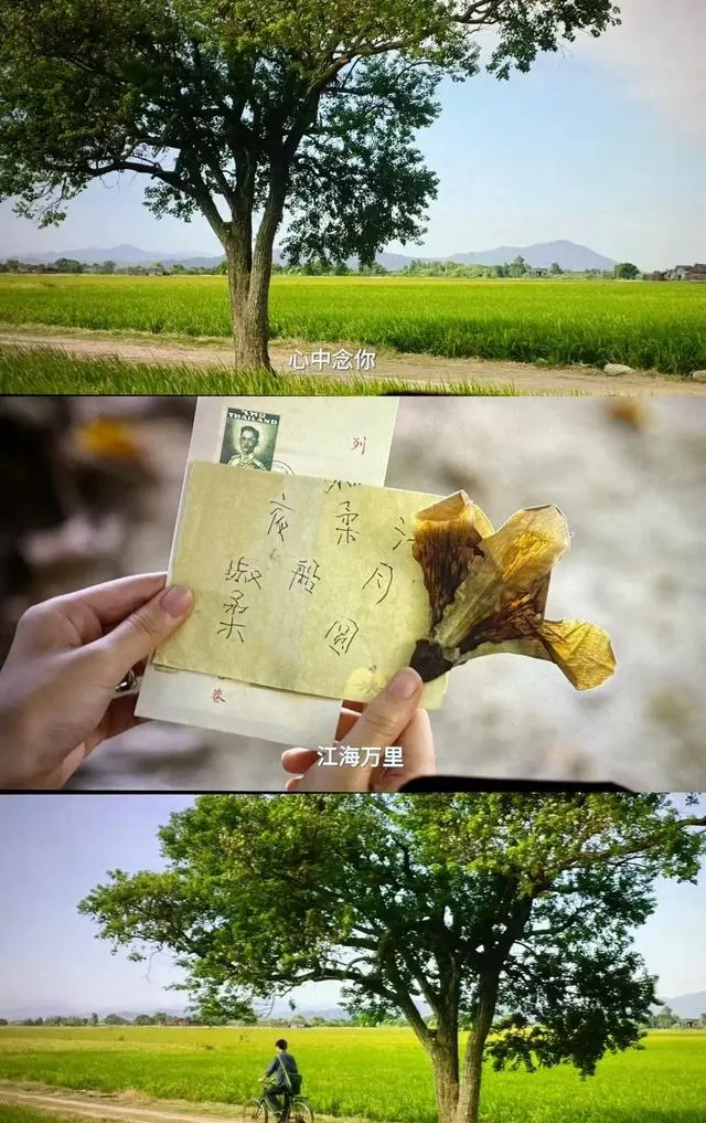 《给阿嬷的情书》聚焦潮汕侨批情义主线 | 资讯配图